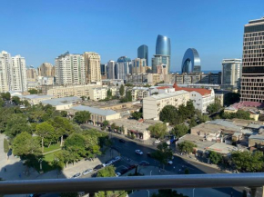 1 bedroom flat in the center of Baku